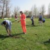 Высадка змеевидной ивы на берегу реки Челбас территория пляжа