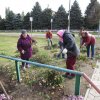 23 и 24 октября 2017 года в парке станицы Новопластуновской проведены субботники