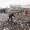 «Согреем сердца ветеранам»