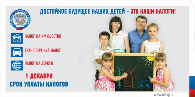 nalog01