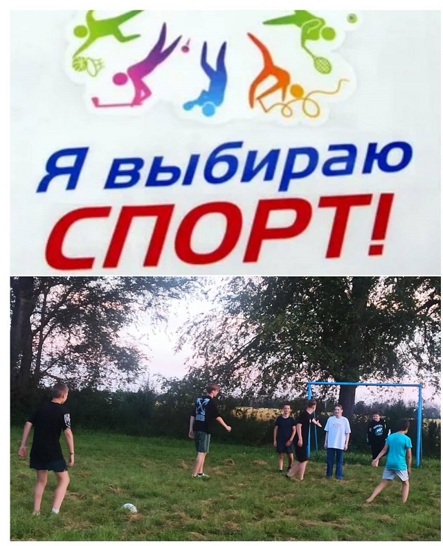 image 2023 09 22 1