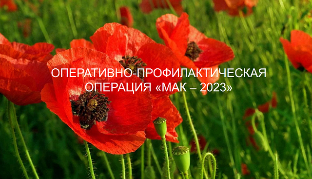 image 2023 09 22 1